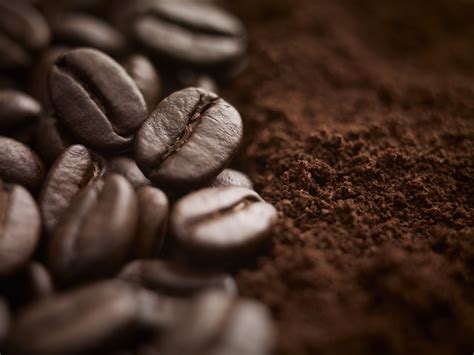 Grounds coffee - Mar 8, 2024 · You bet! Using coffee grounds for plants improves the soil and reduces landfill waste. Simply tilling used grounds into the soil can help with aeration, drainage and water retention. More ... 
